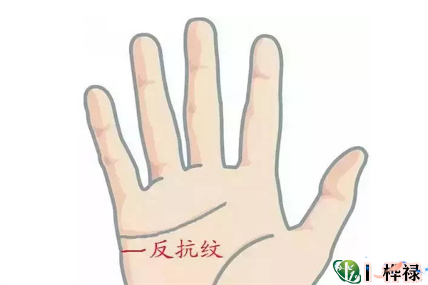 手相基础：认识手相反抗线