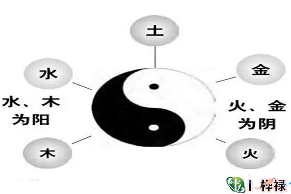 天干五行基础知识详解大全