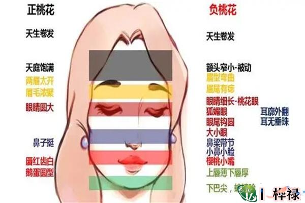 ​财气强旺的女人面相什么样