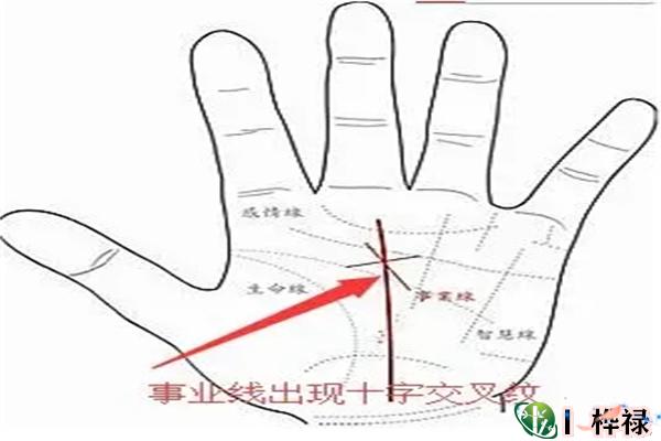 ​能赚钱的人手相