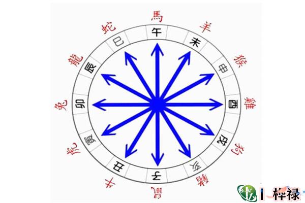 十二地支六冲吉凶应期判定
