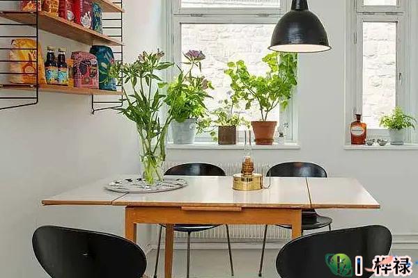 别墅书房放什么植物风水好