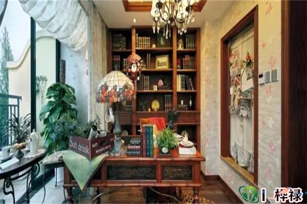 别墅书房放什么植物风水好