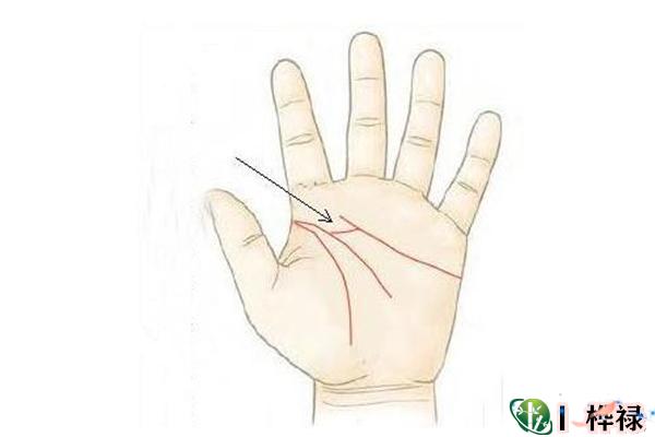 男人感情线分叉好吗