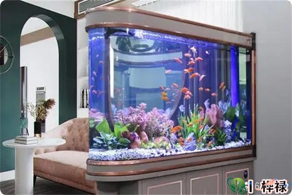 住宅鱼缸摆放需要注意的风水禁忌