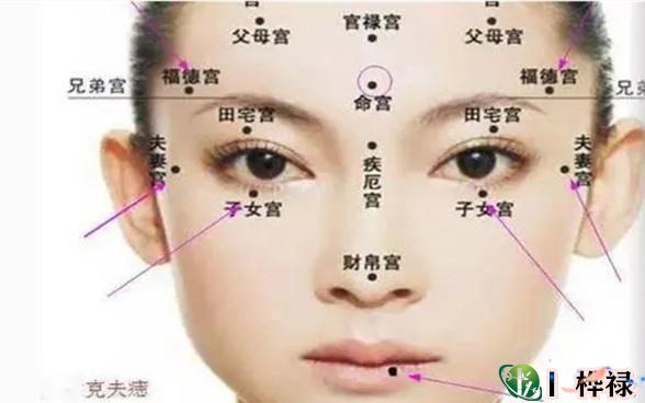 脸上吉痣长在哪里