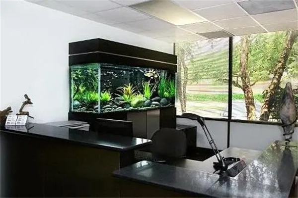 办公室鱼缸的选择风水