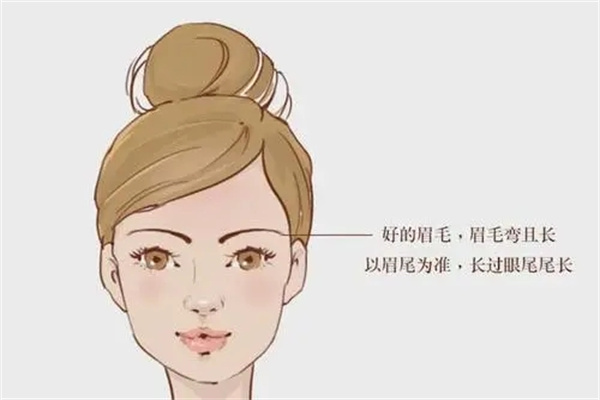 婚姻生活幸福的女人长什么样