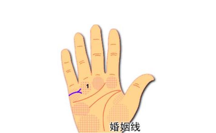 手相婚姻线看婚姻能幸福吗