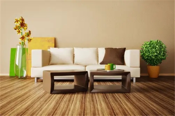 客厅花草选择风水讲究