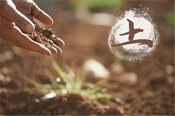 八字中缺土就一定喜土吗