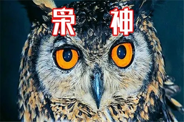 ​八字枭神的人性格有何特点