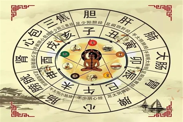 八字代表的身体象义大全