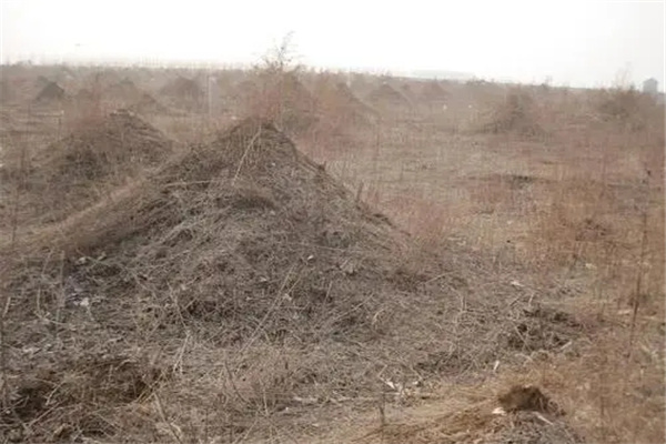 导致家败的祖坟风水