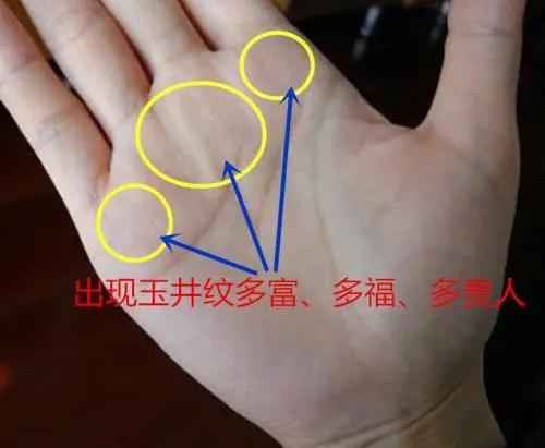 福禄双全指纹手相特征
