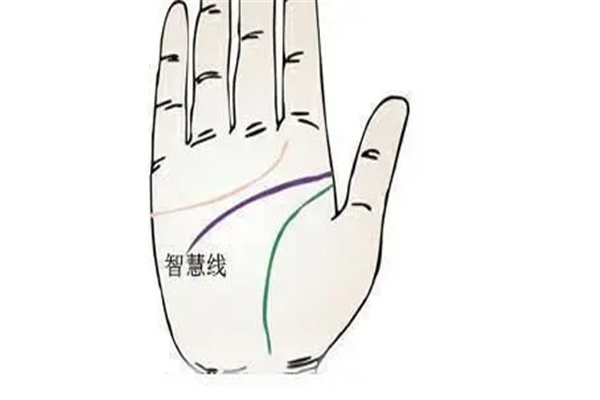 男人手相智慧线的看法技巧