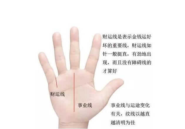 ​贫穷命的手相什么样