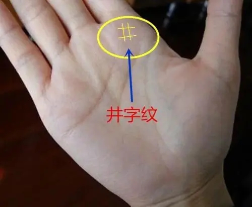手掌有井字纹命好吗