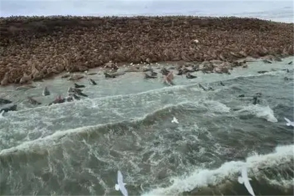 ​八字测遭遇水火之灾