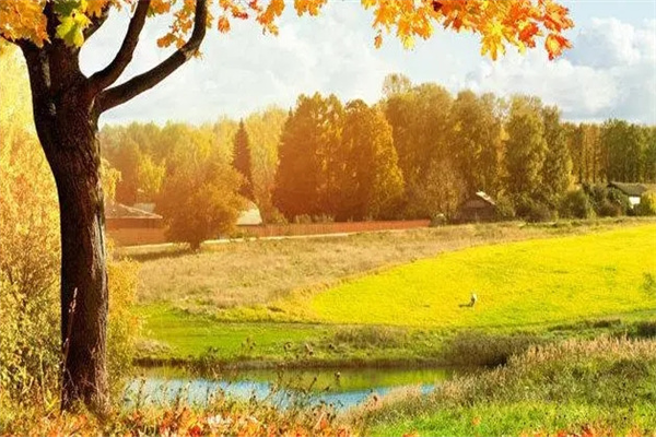 甲木日元的人命运特征