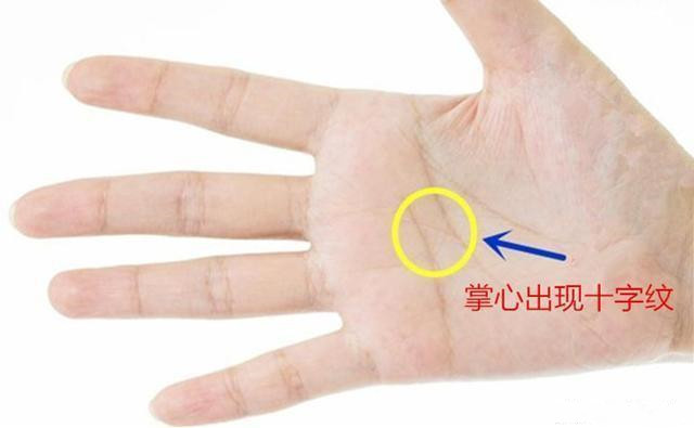 ​顶级富贵的手相特征