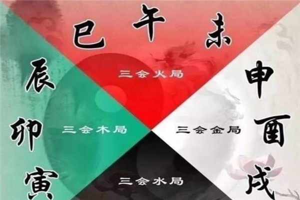 八字十二地支三会局