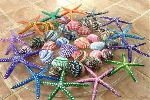 家中摆放贝壳需要注意什么
