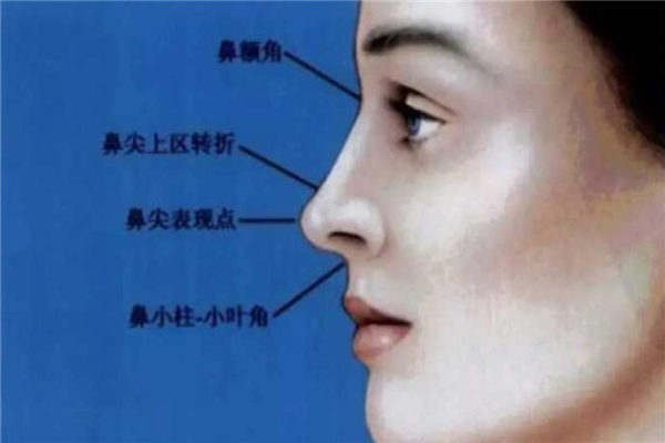 鼻子尖的人性格特征