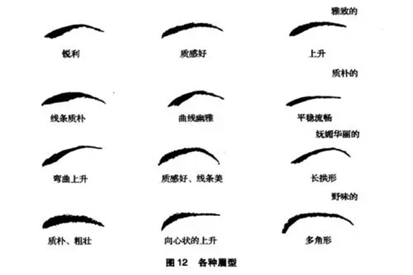 面相眉毛观相术