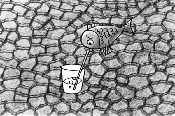 命里五行缺水会怎么样，怎么补