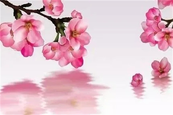 八字带桃花杀的命理含义特征