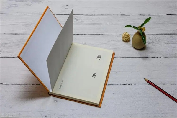 六爻中应爻是什么含义