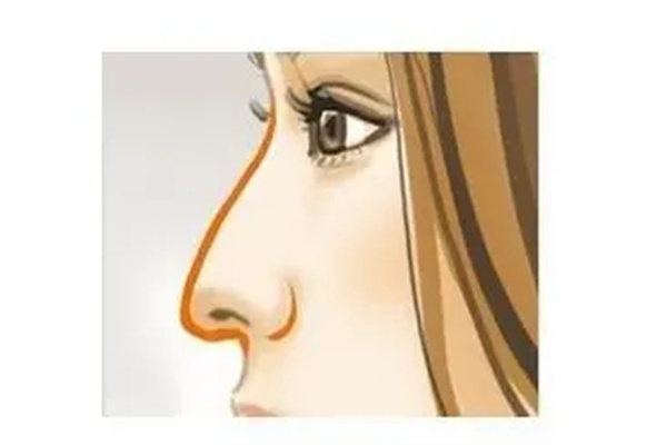 ​鹰钩鼻的男人命好吗