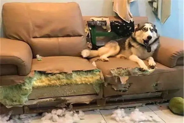 家里东西坏了有何风水寓意