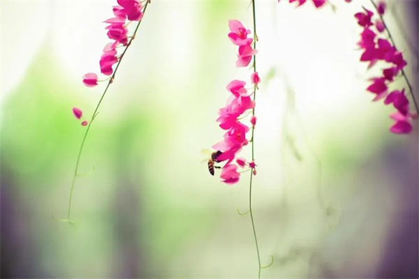 六爻断应期的方法技巧