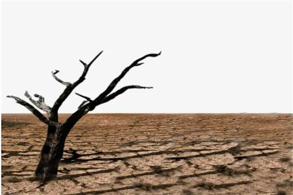 八字中五行缺木的人命好吗