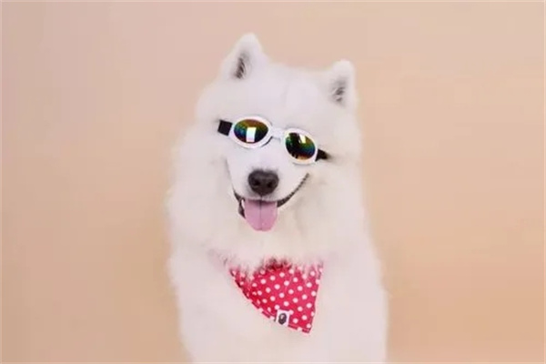 u=1119335687,622186803&fm=253&fmt=auto&app=138&f=JPEG.webp.jpg u=1119335687,622186803&fm=253&fmt=auto&app=138&f=JPEG.webp.jpg