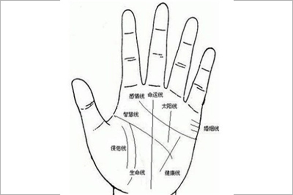 智慧线浅的人就代表不聪明吗