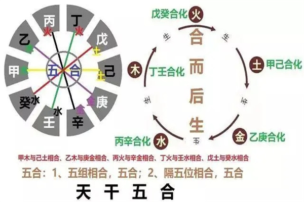 八字中十天干五合要如何理解