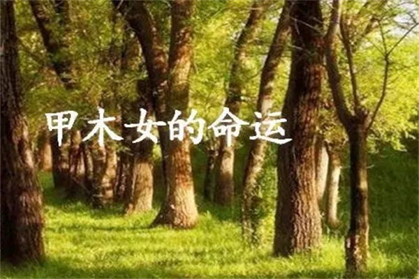 甲木日元的女人命好吗