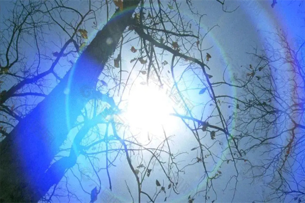 甲木人的命运是好是坏