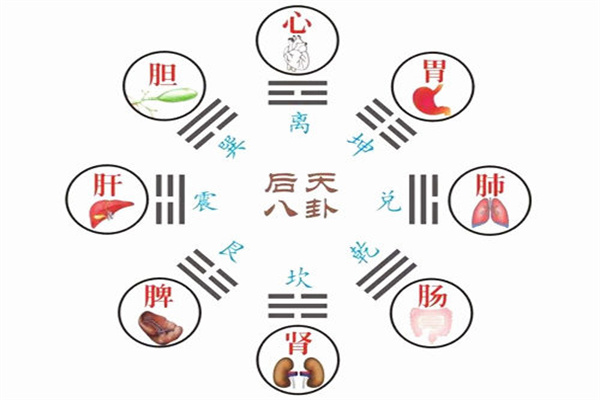 ​六爻八卦万物类象