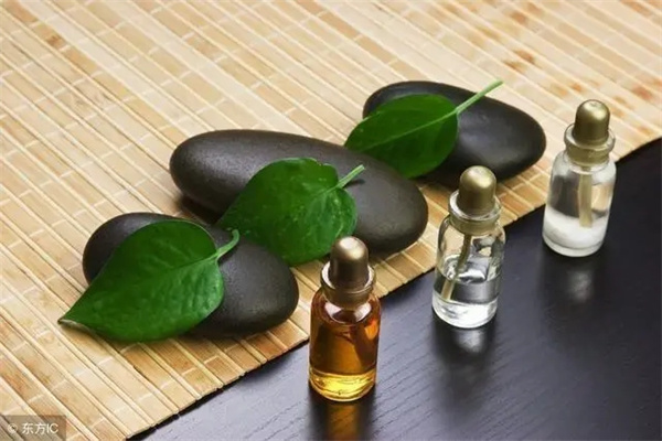 八字中比肩与坐支关系讲解