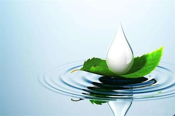 八字从比格命好不好