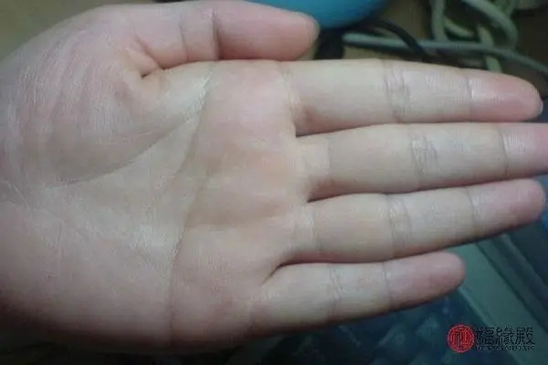 男人哪种手相代表命好