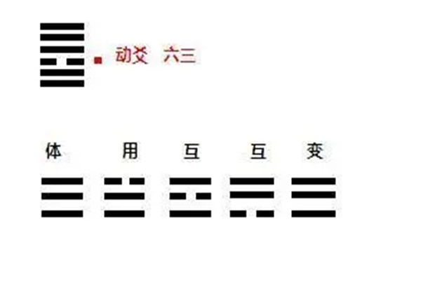 六爻中动变的关系