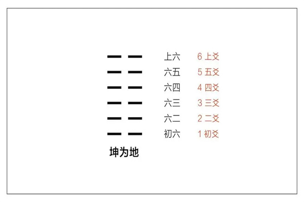 爻卦的动变如何理解