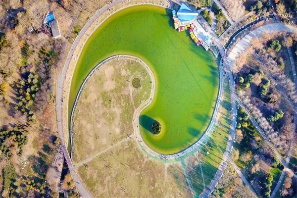 六爻兄弟持世取象技巧