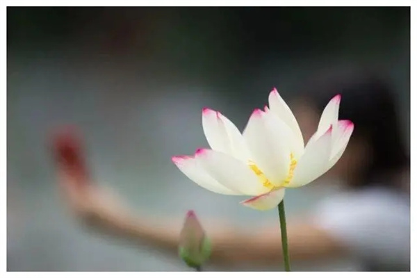 盲派命理口诀技巧