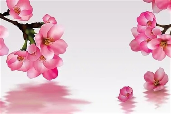 容易招烂桃花的风水禁忌